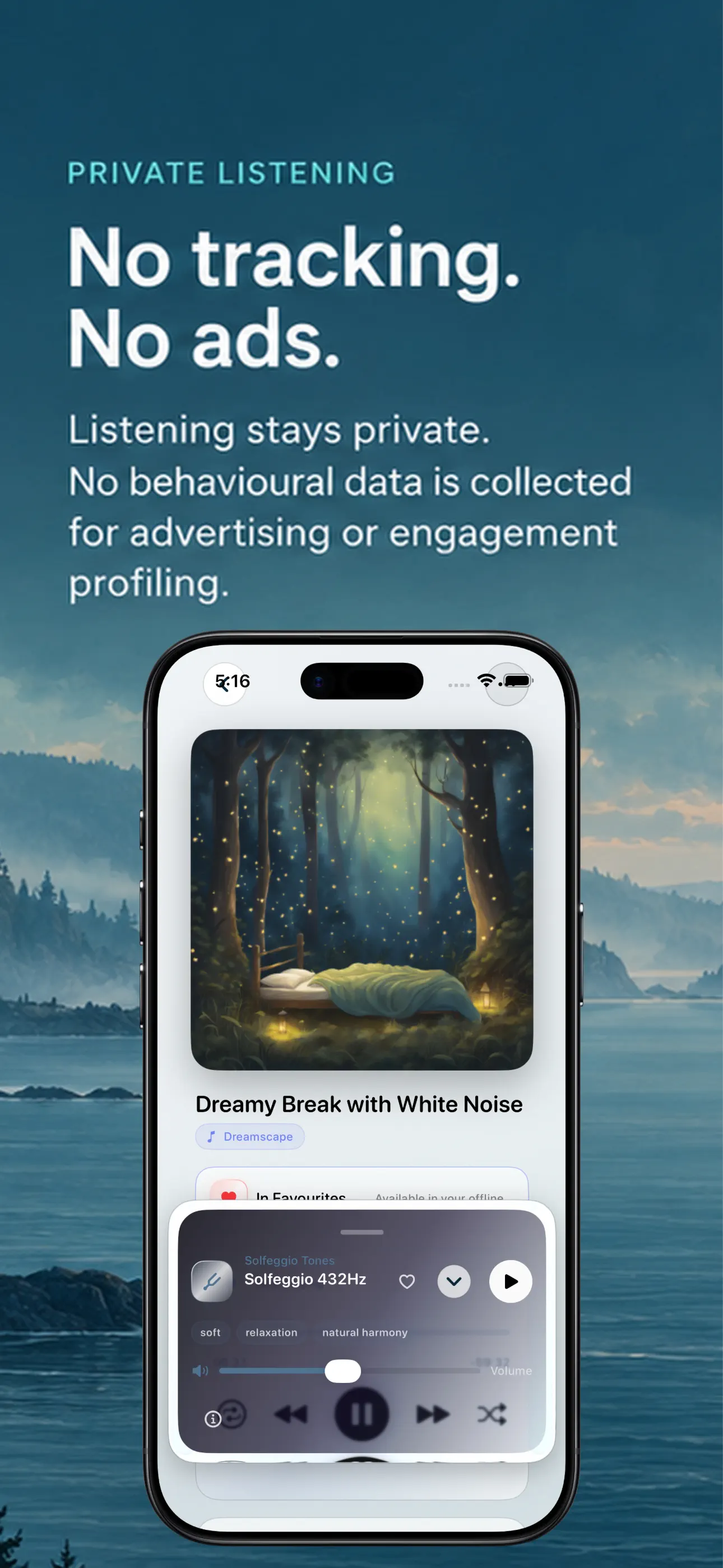 Private Harbour playback controls on iPhone.